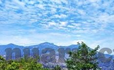 成人免费观看5xq视频-网络世界的灰色地带