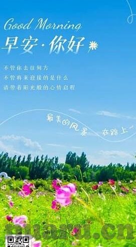 麻豆下载app下载免费-Sexual Content Considerations and the Legal Landscape