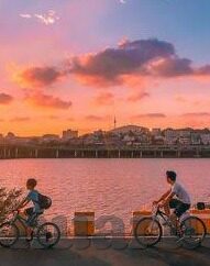 糖心vlog高清-视界之旅，探索糖心Vlog高清世界的非凡体验